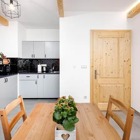 Taternik - Mountain View - Family Room&101 Apartment Zakopane